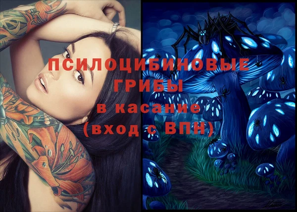 сатива Балабаново